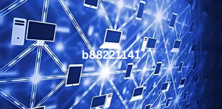 Unlocking the Power of B88221141: